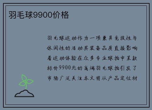 羽毛球9900价格